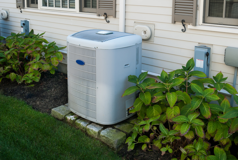 HVAC unit outside of home surrounded by plants and green grass.